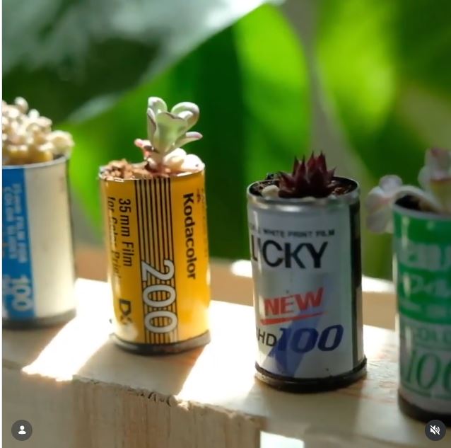 Turn a Used Film Canister Into a Tiny Planter Turn a Used Film Canister Into a Tiny Planter