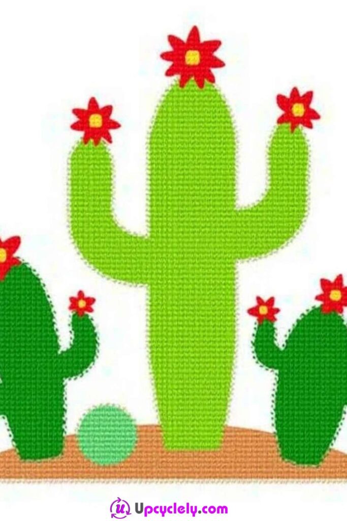 Cactus Designs 