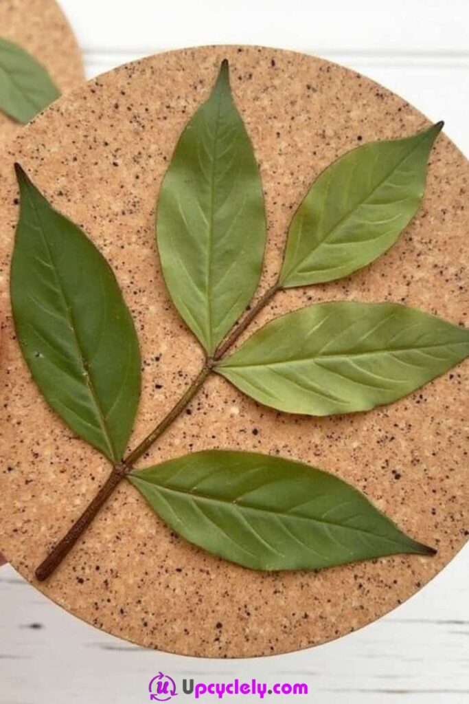 Leaf Coasters