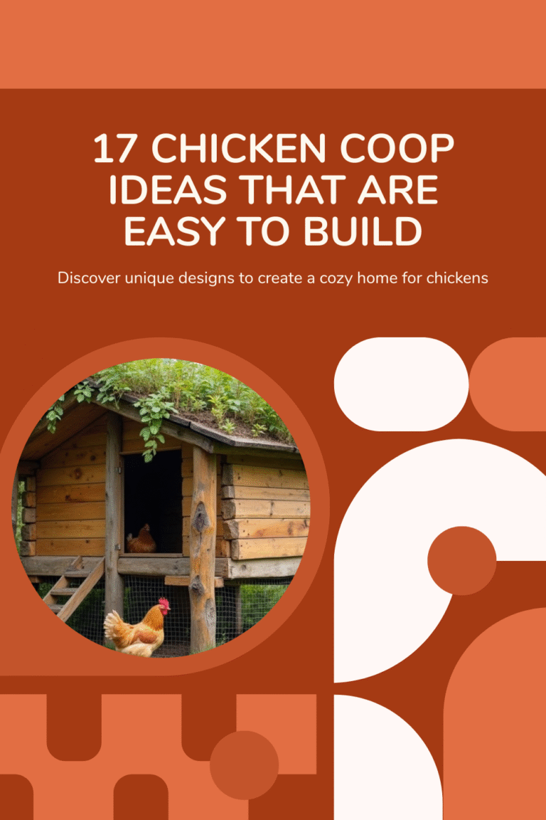 Read more about the article 17 Chicken Coop Ideas That Are Easy to Build