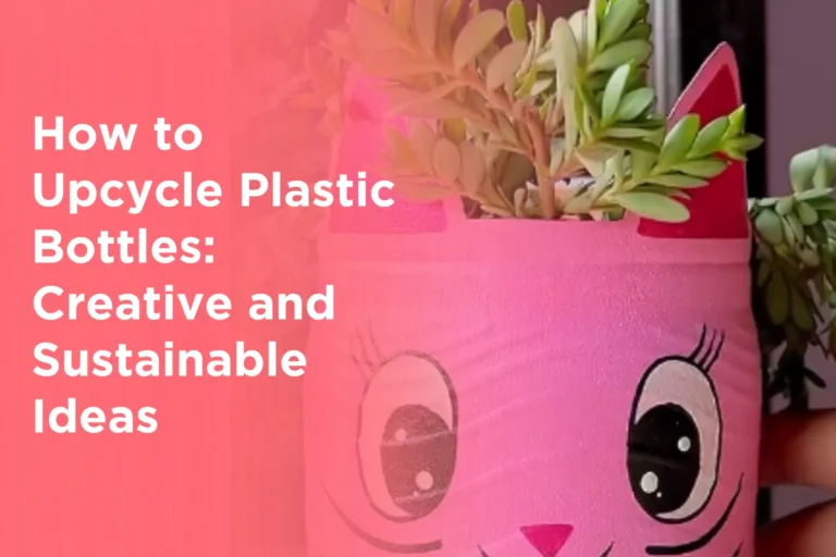 How to Upcycle Plastic Bottles