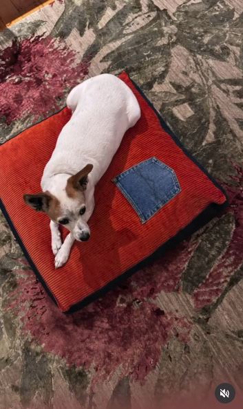 Sew a Meditation Cushion From Fabric Scraps