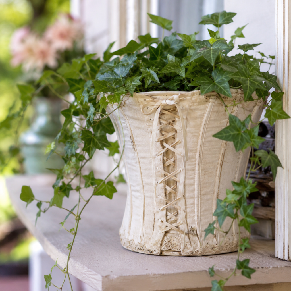 Use a Corset as a Removable Plant-Pot Cover Use a Corset as a Removable Plant-Pot Cover