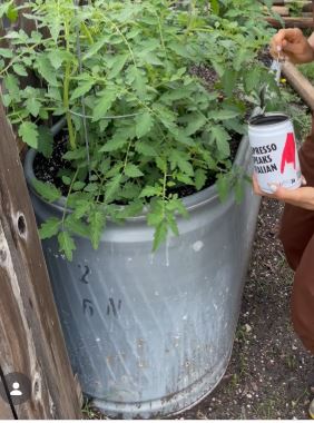 Add Coffee Grounds to Compost or Garden Soil in Moderation Add Coffee Grounds to Compost or Garden Soil in Moderation