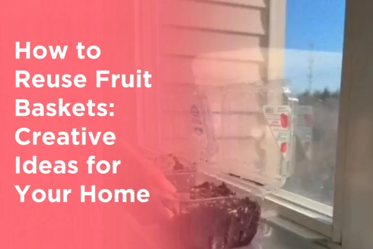 How to Reuse Fruit Baskets