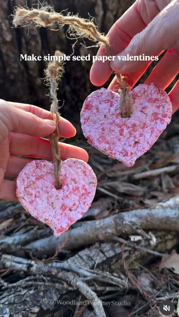 Press Plantable Seed Paper Into Simple Shapes