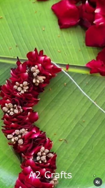 Thread Flexible Rose Petals Into a Short Decorative Garland Thread Flexible Rose Petals Into a Short Decorative Garland
