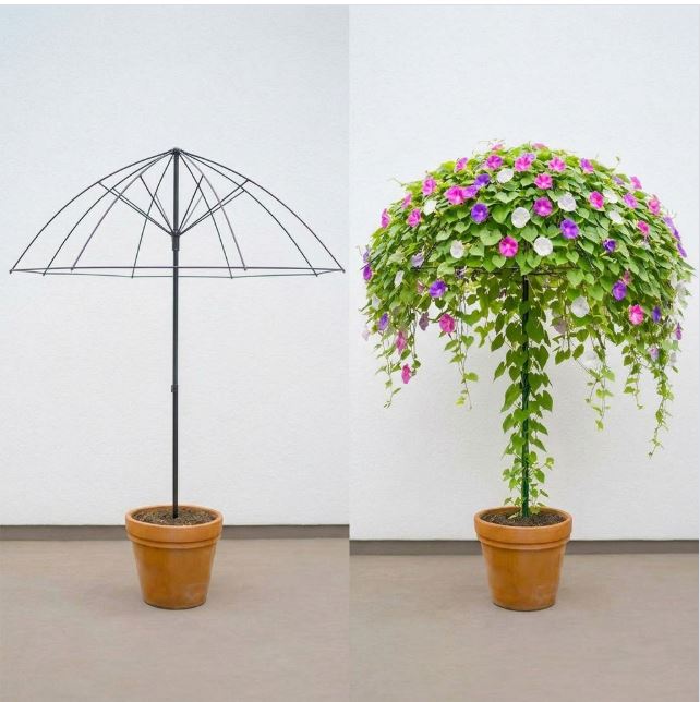 Turn a Bare Umbrella Frame Into a Flowering Vine Support Turn a Bare Umbrella Frame Into a Flowering Vine Support