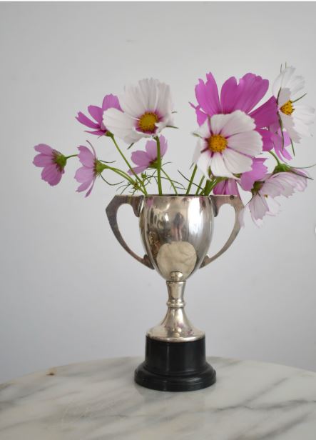Use a Cup Trophy as a Flower Vase Use a Cup Trophy as a Flower Vase