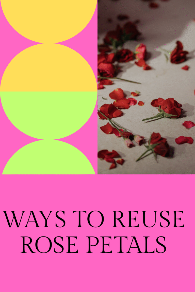 ways to reuse rose petals