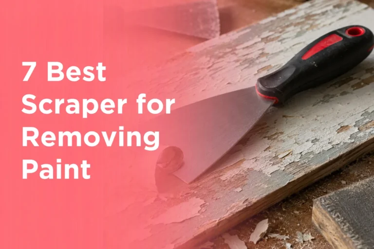 7 Best Scraper for Removing Paint