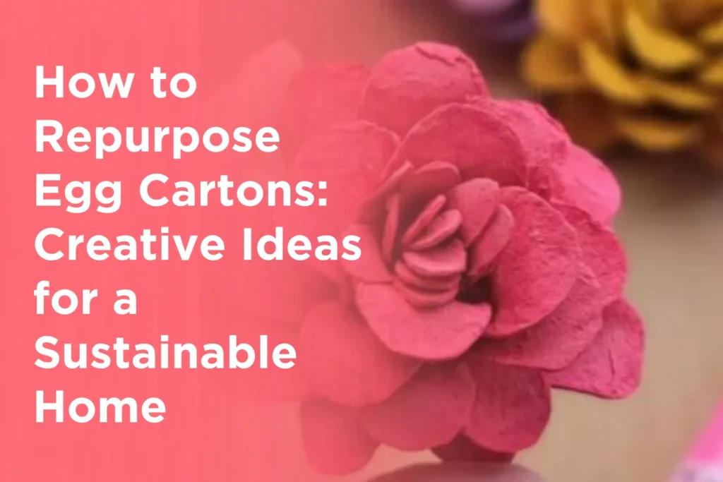 How to Repurpose Egg Cartons