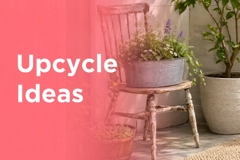 Upcycle Ideas